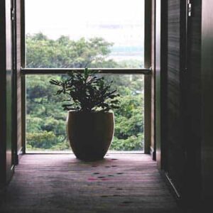 Slide3 Free Img 300x300